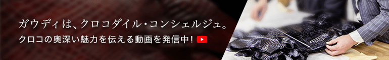 ガウディはクロコダイル・コンシェルジュ