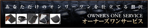 �����ʡ�����󥵡��ӥ������ʤ������Υ���꡼�����Ω�Ƥ�����